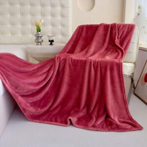 MANTA PIEL DE DURAZNO PREMIUM COLOR ENTERO - 195cm X 220cm (2 PLAZAS)